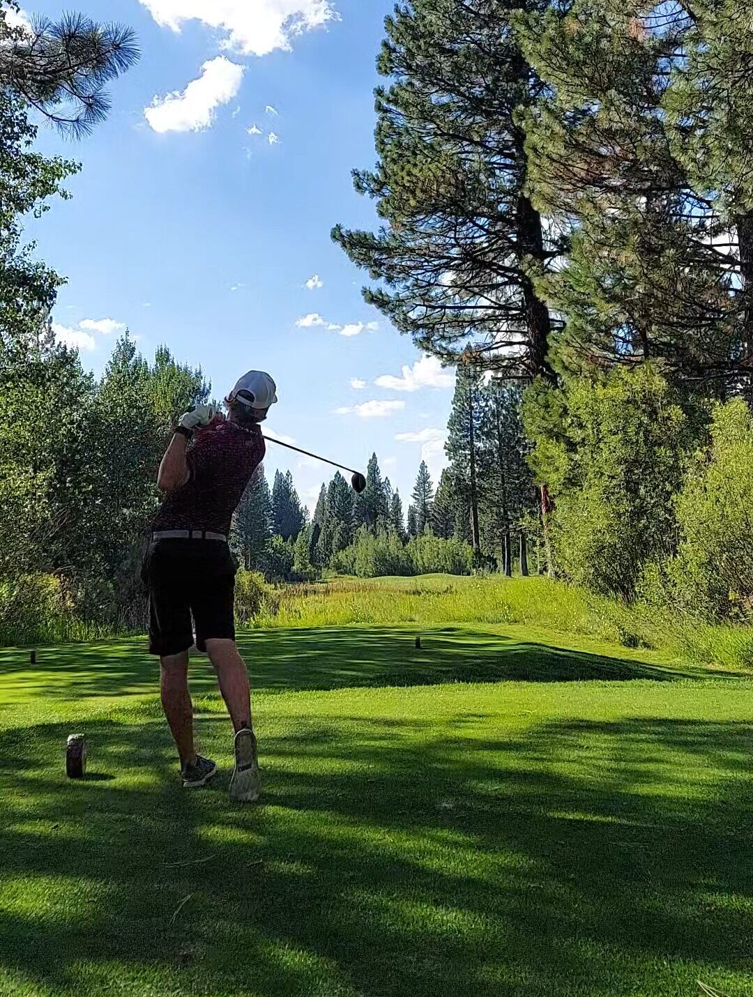 Screenshot_20241206_171210_Gallery